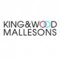 logo_kingnwood